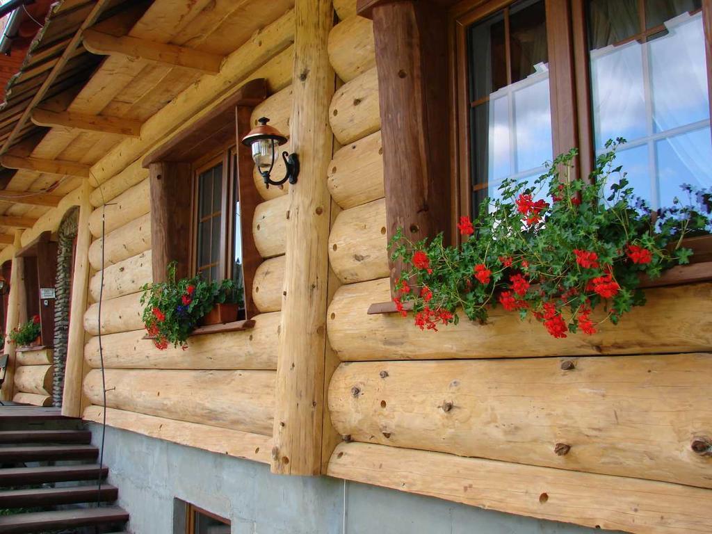 Troll Bed & Breakfast Cisna Ngoại thất bức ảnh